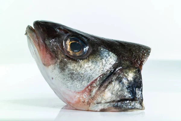 Macro close up shot of a cut of sea bass  head on a plate isolat — Stock Photo, Image