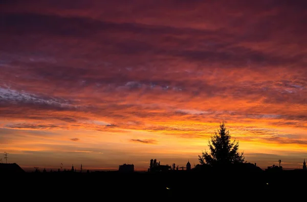 Drammatico Tramonto Nuvoloso Sulla Silhouette Città Scura Alto Pino Lontananza — Foto Stock