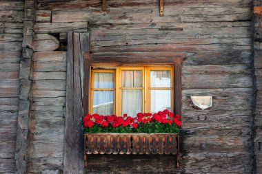 Kırsal ahşap dağ kulübesi pencereleri ve güzel canlı çiçek süslemeleri. 2020