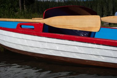 2020 yazında güneşli bir yaz günü İsviçre 'nin Alp Dağı gölünde küçük bir kayık kiraladım.