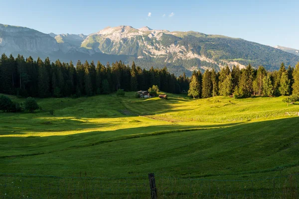 Prado Alpino Verde Tarde Verão Grandes Montanhas Vista Fundo 2020 — Fotografia de Stock