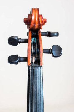 Tahta keman, parmak kayışının detaylı görüntüsünü parşömene yaklaştır..