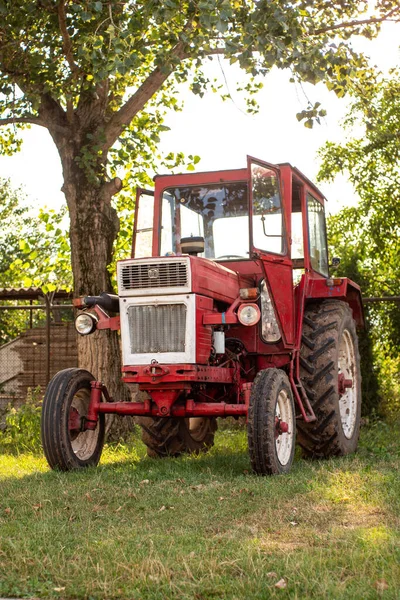 Stary Mały Czerwony Ciągnik Rolniczy Zaparkowany Trawie Lato Przed Zachodem — Zdjęcie stockowe