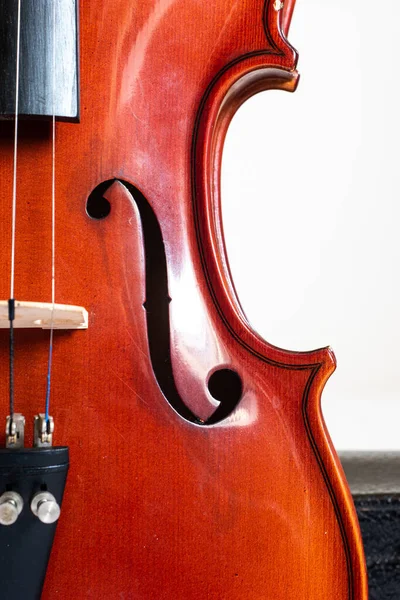 Wooden Violin Close Detail Shot Houseing Holes Cord Bridge — Stock Photo, Image