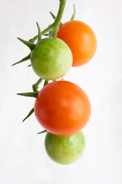 Tomates Cereja Verdes Semi Maduros Videira Macro Tiro Isolado Branco — Fotografia de Stock