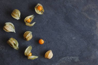 Physalis düzenlenmesi meyve, Cape bektaşi, kopya alanı sağa Doğal kayrak zemin üzerine