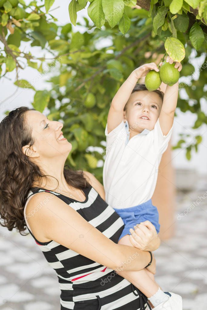 Color photography of a woman with a child in her arms picking lemons of a lemon trees.