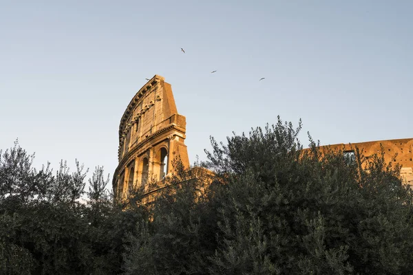 Vista Para Exterior Famoso Coliseu Cidade Roma Pôr Sol — Fotografia de Stock