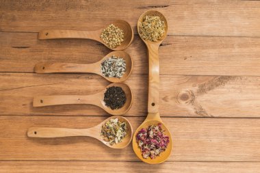 Tahta kaşık ile infüzyon, ahşap arka plan üzerinde rustik tarzı için farklı otlar.