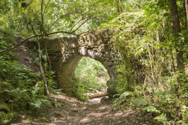Ağaçları arasında kalıntılar Roma dönemine yapımında.