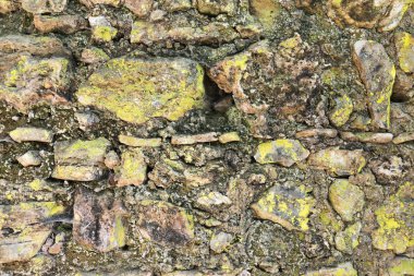 Taş duvar dokusu görülebilir liken ile kaplı.