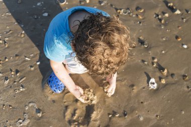 Çocuk mavi gömlek sahil kum ve kabukları ile oynamak.