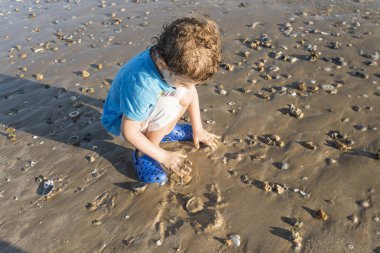 Çocuk mavi gömlek sahil kum ve kabukları ile oynamak.
