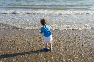 Çocuk mavi gömlek sahil kum ve kabukları ile oynamak.