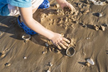 Çocuk mavi gömlek sahil kum ve kabukları ile oynamak.
