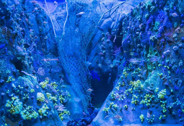 Fischernetz auf dem Meeresboden — Stockfoto