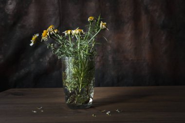 Hala solmuş çiçekler ile hayat.