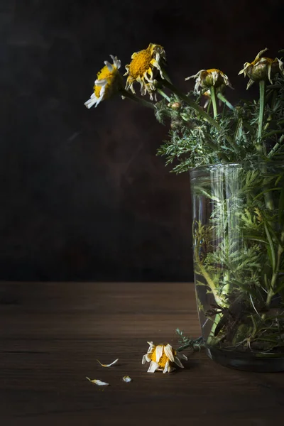 枯れた花との静物. — ストック写真