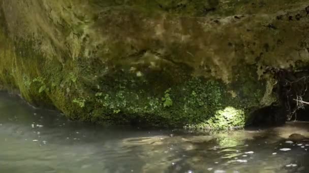 Czysta Świeża Woda Rzeki Rzuca Refleksje Skale Mchem Gdy Słońce — Wideo stockowe