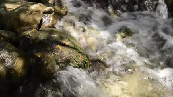 Καθαρό Και Φρέσκο Νερό Από Ένα Μικρό Ρυάκι Που Ρέει — Αρχείο Βίντεο