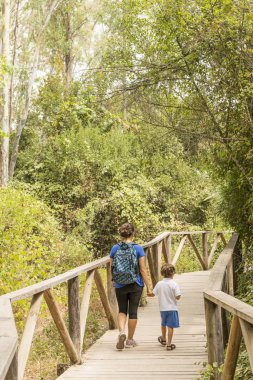 Bir kadın ve bir çocuk yürüyüş yapıyor, ahşap bir yolda yürüyor..
