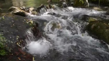 Orman boyunca kayaların arasından akan temiz ve berrak sulardan oluşan bir dağ deresi. Majaceite Nehri Sierra de Grazalema, İspanya 'dan geçiyor. Saflık ve çevre kavramları.