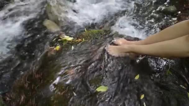 Close Woman Feet Stream Clean Fresh Water Concepts Freshness Purity — ストック動画