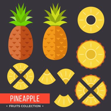 Ananas. Modern düz simgeler. Vektör çizim