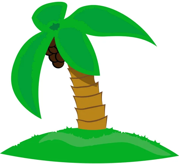 Güzel Palmiye Ağacı Beyaz Zemin Üzerine Hindistan Cevizi Ile Izole — Stok Vektör