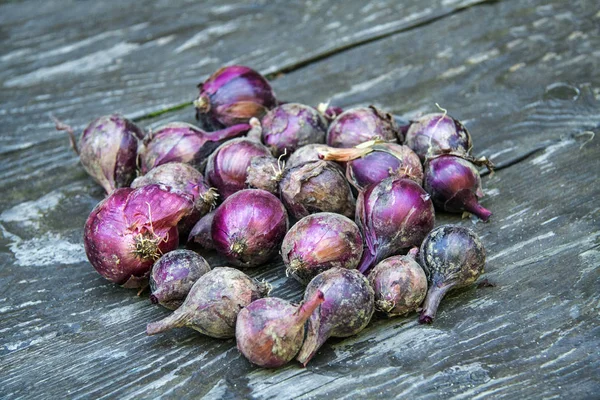 Natural food, red, onion on a wooden table — Stock Photo, Image