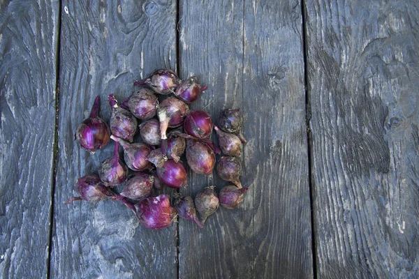 Φυσική τροφή, κόκκινη, κρεμμύδι σε ένα ξύλινο τραπέζι — Φωτογραφία Αρχείου