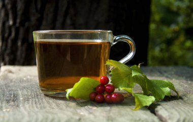 sonbahar arka plan dinlenme parkı, yürüyüş, fincan çay ve kartopu