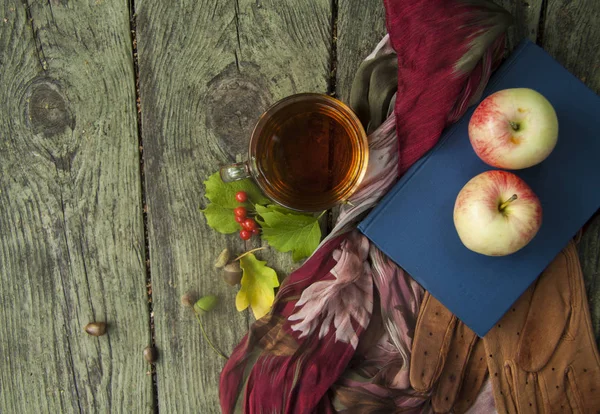 Podzimní odpočinek dřevěné pozadí v parku, čtení, chodit s šálkem čaje, jablka a rukavice — Stock fotografie