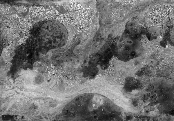 抽象的な白い黒大理石、アクリル アート — ストック写真
