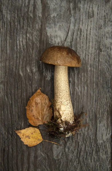 野生森林秋季蘑菇和叶子在一个深色木制质朴的背景 — 图库照片