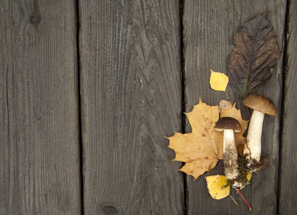 Дикий ліс осінні гриби і листя на темному дерев'яному сільському тлі — стокове фото
