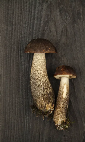 Дикий лес осенние грибы и листья на темном деревенском фоне — стоковое фото