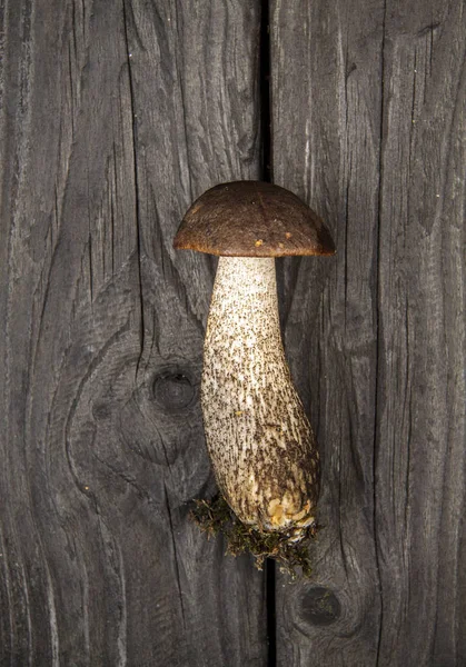 Champignons d'automne de la forêt sauvage et feuilles sur un fond rustique en bois sombre — Photo