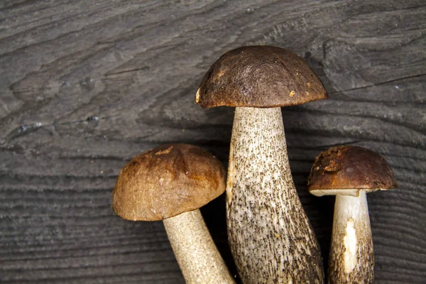Дикий лес осенние грибы и листья на темном деревенском фоне — стоковое фото