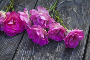 Ahşap rustik zemin üzerine pembe gül buketi