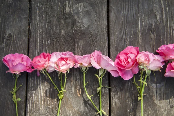 Rosa rosas románticas sobre fondo rústico de madera — Foto de Stock