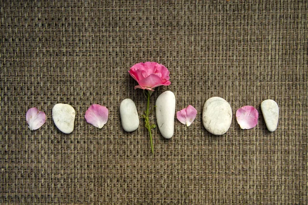 Rosa rosa y piedras de mar spa sobre fondo rústico — Foto de Stock
