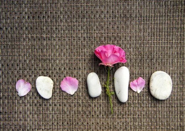 Pink Rose Bouquet Petals Sea Stones Spa Wooden Rustic Background — Stock Photo, Image