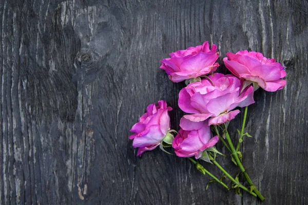 Ramo de rosa rosa sobre fondo rústico de madera — Foto de Stock