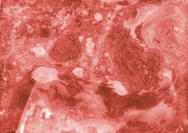 beyaz ve pembe mercan mermer doku yaşayan