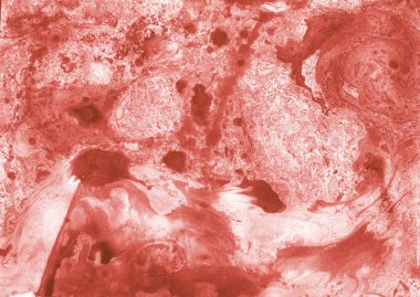 beyaz ve pembe mercan mermer doku yaşayan