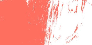 mercan, 2019 yıl boya kontur rengini yaşayan