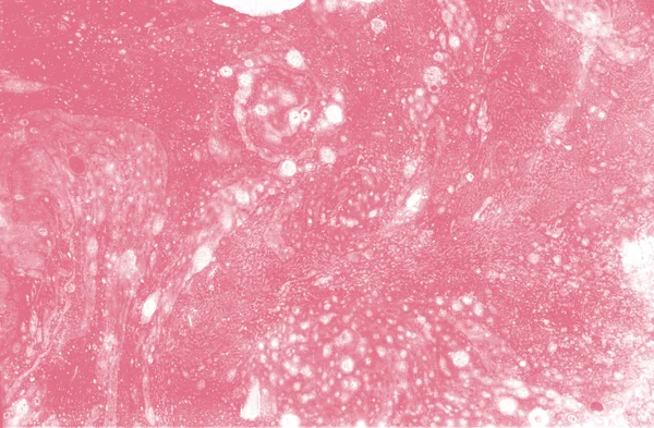 Абстрактна корало-рожева біла мармурова текстура, акрилове мистецтво — стокове фото