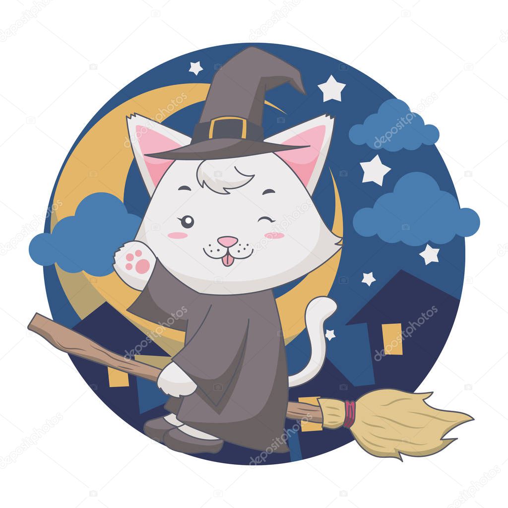 The flying wizard White cat uses a broom in the night.