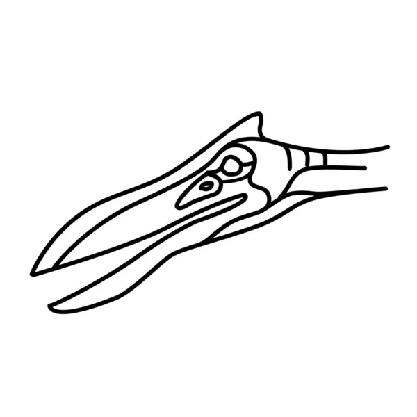 Flugsaurier Ikone Gekritzelte Hand Gezeichnet Oder Schwarze Umrisse Icon Style — Stockvektor